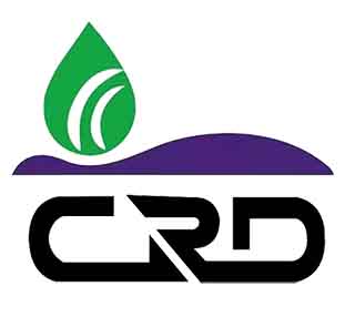 保定行业质量保证-程瑞达喷枪